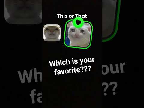 which is your favorite???