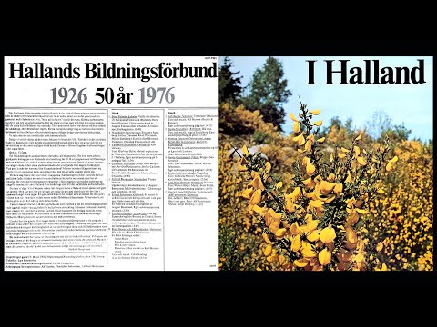 Eva Bartholdsson - Tror Jag