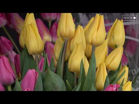 Незнание закона не освобождает от ответственности