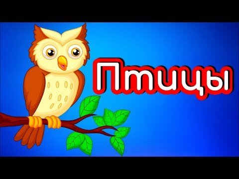 ПТИЦЫ для ДЕТЕЙ / Развивающие мультики для малышей / Учим животных