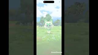 色違いニャオハ✨ #pokemongo #pokemon #ポケgo #shinypokemon #ポケモン