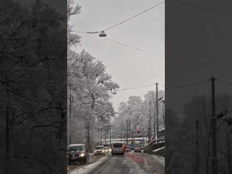 Ich freue mich, wenn ich immer Schneefall sehe❄️😍 #shorts #switzerland #bern #winter #youtubeshorts