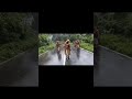 Jab Naukri Milegi Army Status Army Lover SSB CRPF BSF ITBP Soldier Shorts Viral Video