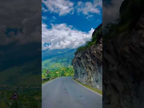 Darjeeling vibes #darjeeling #shortvideo #hindi #bengali #vibes #reels #video #nature