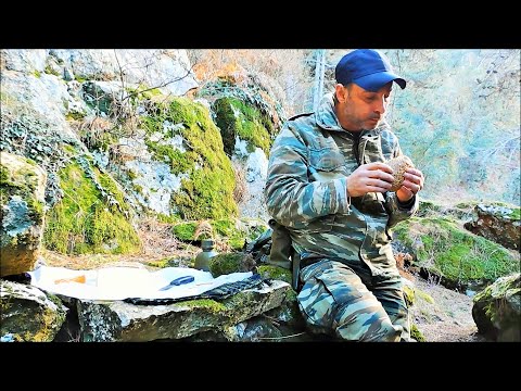 Pine Tree Yamadori Hunting high on the Mountain at 800 m, Bonsai Inspiration, Nature, Hiking