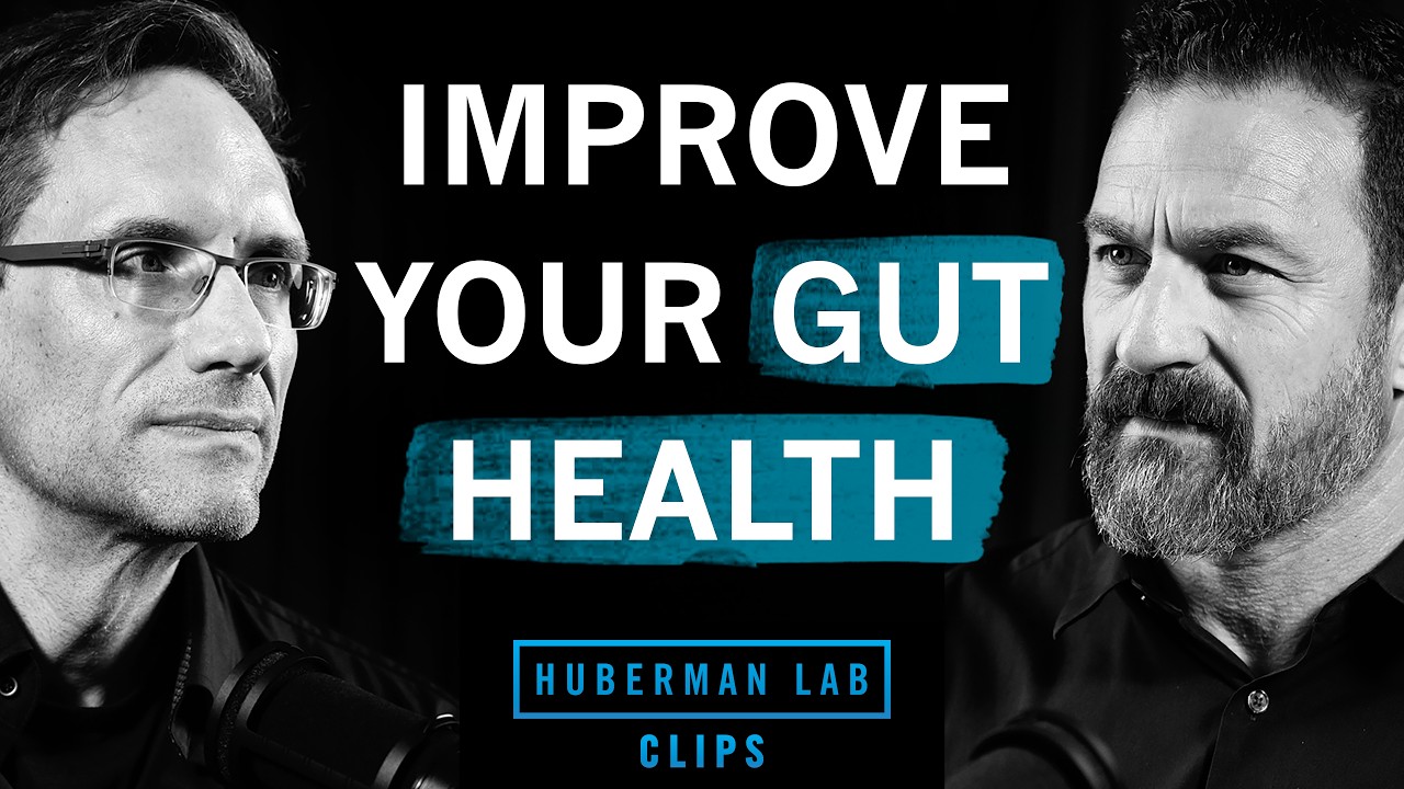How to Improve Your Gut Health | Dr. Chris Thompson & Dr. Andrew Huberman