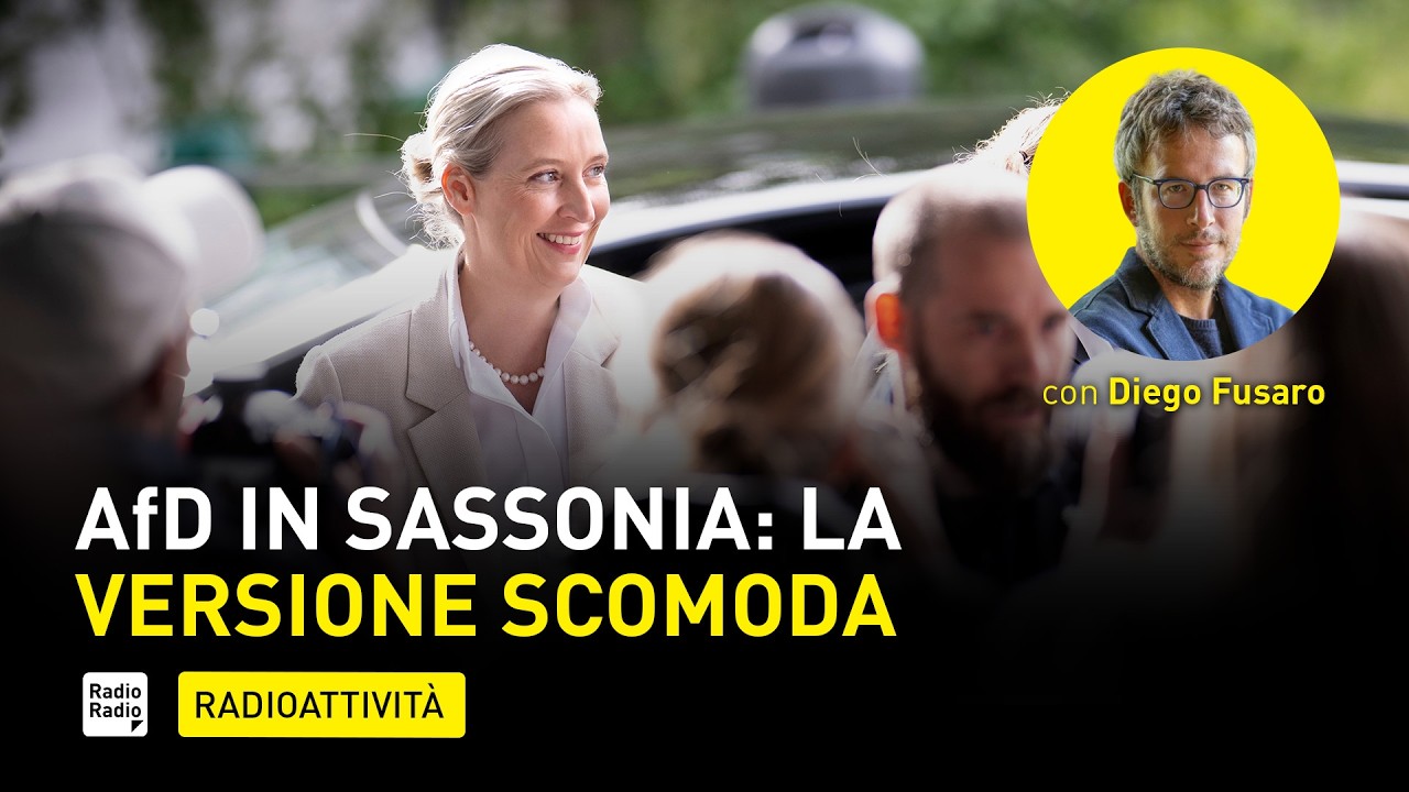L'ULTIMA VERITÀ SUL SUCCESSO DI AFD CHE NESSUNO VUOLE SENTIRE