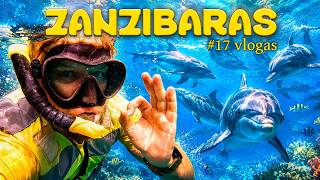 Plaukiojimas su delfinais. Vėjūnė gavo naują vardą #17 vlogas