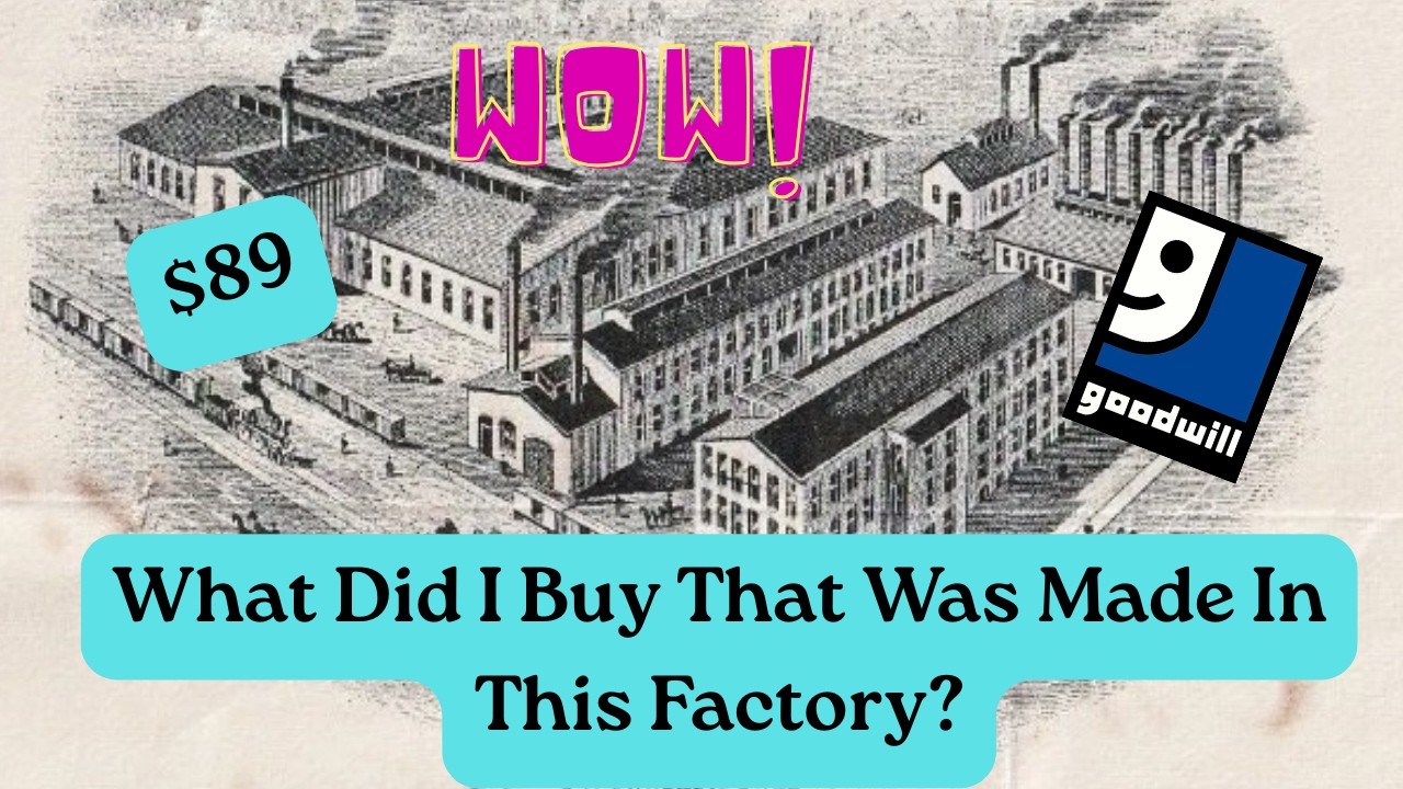 My Latest Goodwill Thrift Store Treasure!  $89!