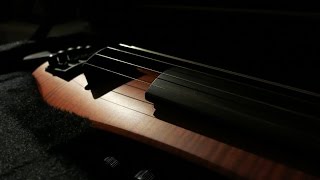 Video thumbnail for NS Design CR5 5 String Violin Demo by DEEFAYY