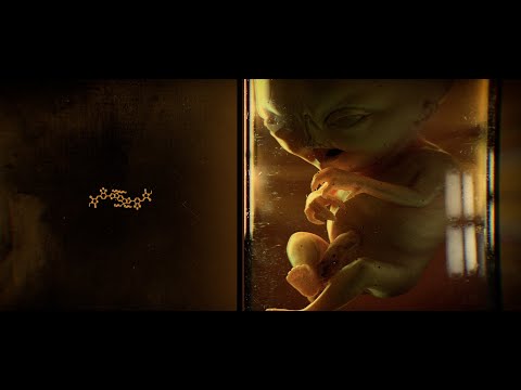 PanicRoom #18 - Rebirth