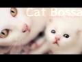 Clazziquai Project - Cat Bossa 