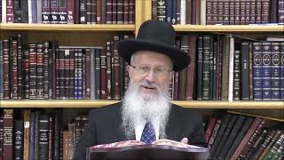 הגאון הרב אברהם יוסף שליט"א מה יעשה אדם שאכל לפני ההבדלה או שעשה מלאכה לפני אמירת אתה חוננתנו בתפילה (הרב אברהם יוסף) - התמונה מוצגת ישירות מתוך אתר האינטרנט יוטיוב. זכויות היוצרים בתמונה שייכות ליוצרה. קישור קרדיט למקור התוכן נמצא בתוך דף הסרטון