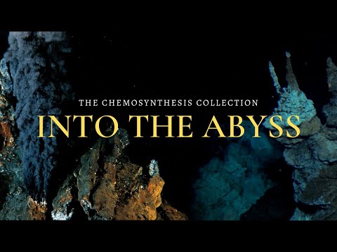Into the Abyss: Chemosynthetic Oases