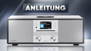 TechniSat Digitradio 650 Anleitung Einrichtung und alle Funktionen