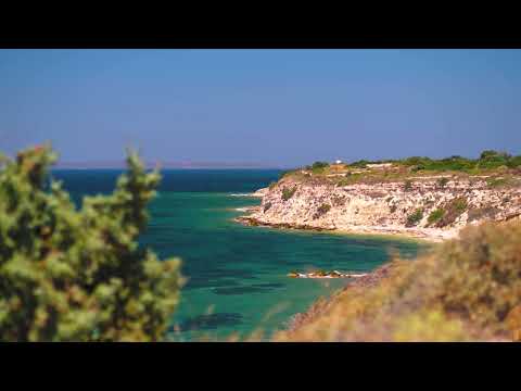 Sosyal medya portfolyo gorseli
