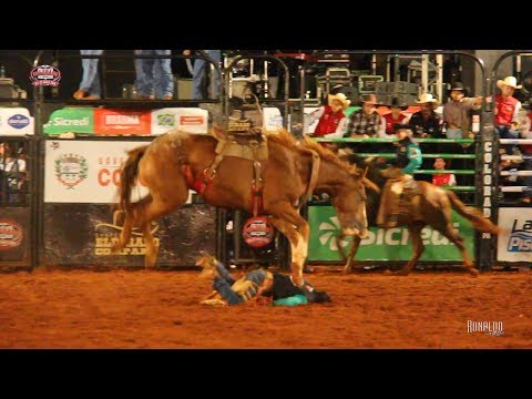 TOP TOMBOS em Cavalos - Rodeio de Colorado 2018
