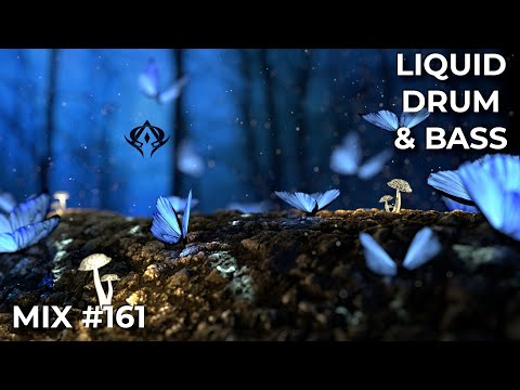 Liquid Drum and Bass Mix 161