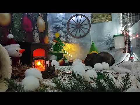 Osa12 joulukuun video