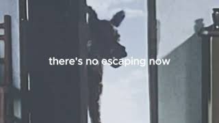 Howling At Wolves Lyrics Spanish Translation