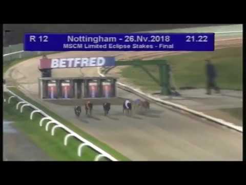 Dorotas Wildcat   Nottingham Eclipse Stakes 2018