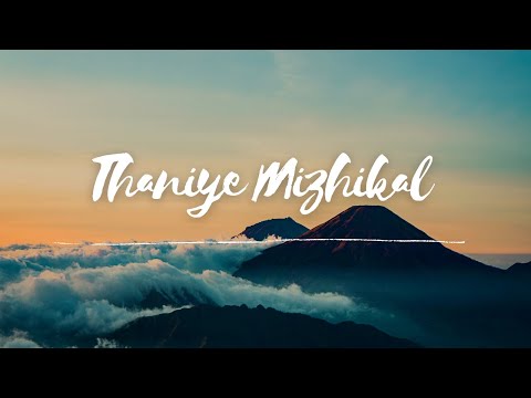 Thaniye Mizhikal-Lyrical | Guppy|Iravaakave pakalaakave | Tovino Thomas | Sooraj Santhosh