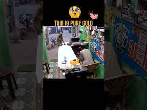 Viral video of monkey hugging shopkeeper proves animals need love too. #animallove #emotional