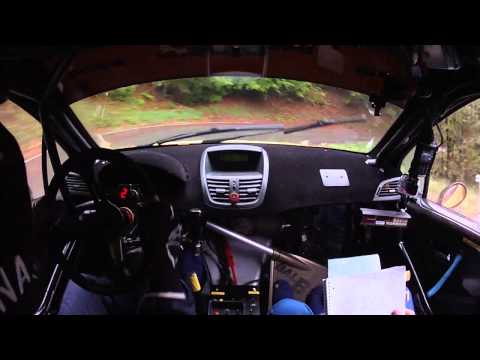 CameraCar | Rally Città di Torino 2013 | VERNA G - ROSSELLO JR | Col del Lys | Peugeot 207 Super2000