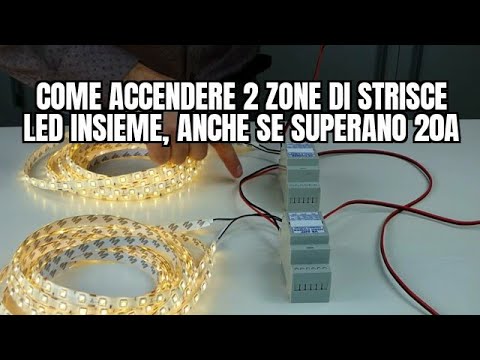 Come ci sono parassiti dopo risposte di trattamento Chiarificazione di un organismo da parassiti di un semenov