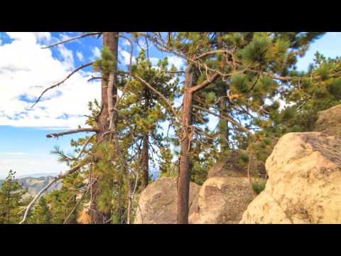 Ferry Tayle & Manuel Le Saux - Roma Airport (Farhad Mahdavi Remix)