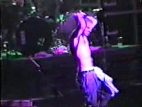 Pantera Live the Brixton Academy Part8