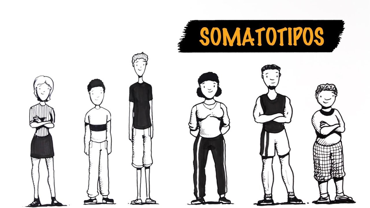 O Seu Tipo de Corpo Define o Treino que Você Deve Fazer? | Autoridade Fitness