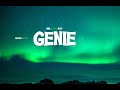 YoungBoy Never Broke Again Genie Lyrics