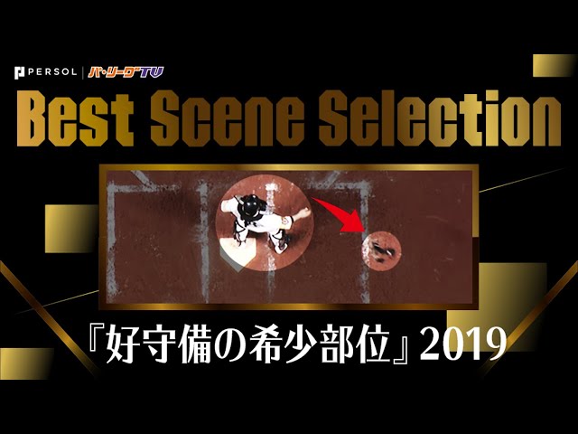 《Best Scene Selection》1年からたった10分しか編集できない…『好守備の希少部位』2019