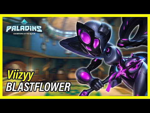 SPAM BLAST BROKEN l Viizyy Willo PALADINS PRO COMPETITIVE GAMEPLAY