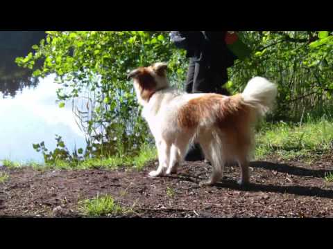 GUDOW (GUDOWER SEE), SH, Germany