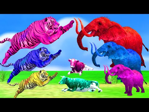 3 Zombie Tigers vs 3 Mammoth Elephants fight Cow cartoon Saved By Woolly Mammoth Animal Fights