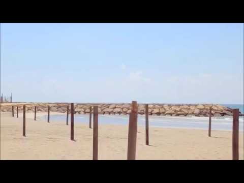 عم دور عا حالي Nina Abdel Malak نينا عبد الملك