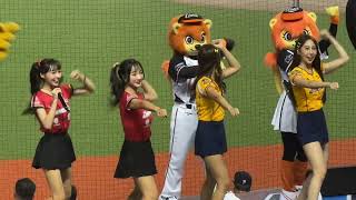 【台湾チア】臭〜馬傑森　 林襄　明星賽2024 #台湾チア #cheerleader #林襄 #野球