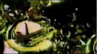 Prairie View  Marching Storm 1995 | All Blues, I'm So Glad, The Horse