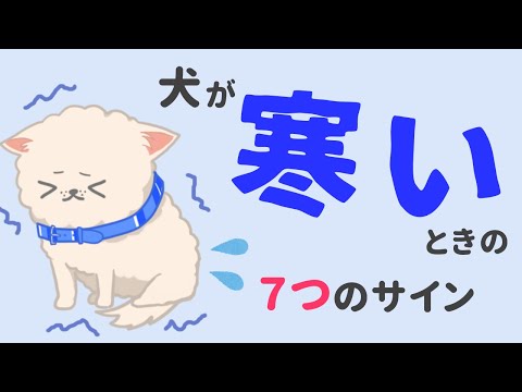 クリスマスにストレス? 7 つの簡単なヒントで脳をだましましょう