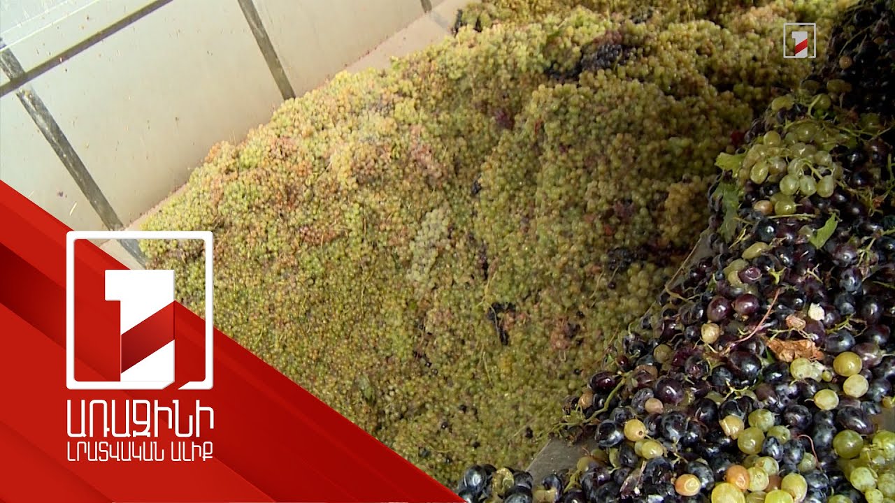 2024 թ. օգոստոսի 1-ի դրությամբ Արմավիրի մարզում 3500 տոննա գյուղատնտեսական արտադրանք է մթերվել