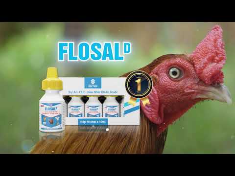  FLOSALD - Trị hô hấp cho gà, hen - khẹc cho gà đá