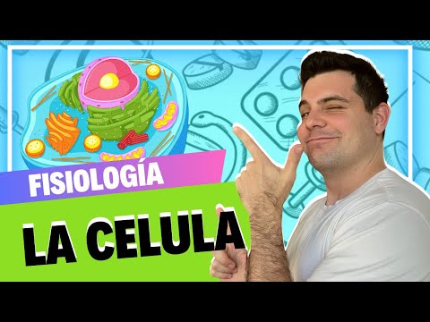 PHYSIOLOGY 🤓 // THE CELL // EASILY EXPLAINED 👀