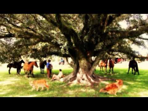 Oh! De casa - Os Tiranos