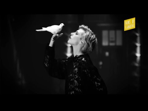 FANS OF FLANDERS - EAR CANDY: Warhaus - The Good Lie