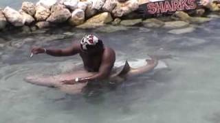 preview picture of video 'Our vacation to Jamaica - Dolphin Cove shark pool'