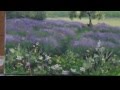 Acrylic Painting Demo - "Lavender Fields" 