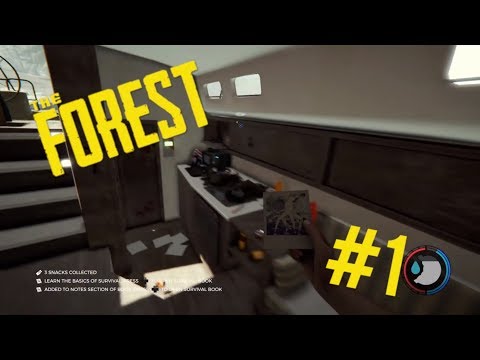 Schwieriger als Gedacht | The Forest Hard mode #1 (reupload in 720p)