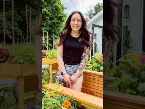 Grow These Edible Perennials In Your Garden #gardeningvideos #plants #growfood #growyourownfood